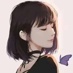星河之恋 封面